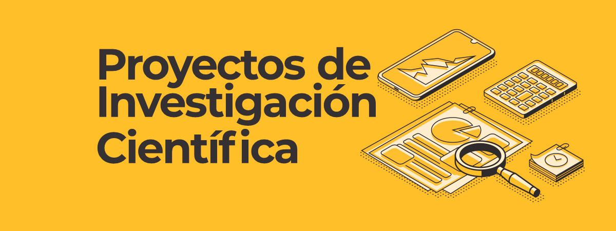 Proyectos de Investigación Científica 2021